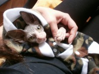 /album/fotecky/p7132109-jpg/