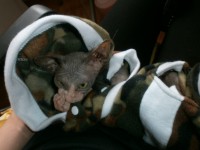 /album/fotecky/p7132114-jpg/