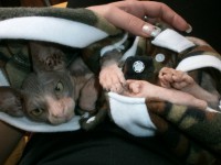 /album/fotecky/p7132120-jpg/