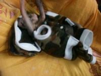 /album/fotecky/p7132133-jpg/