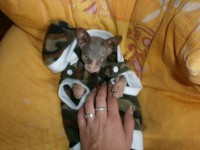 /album/fotecky/p7132145-jpg/