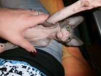 /album/fotecky/p7192110-jpg/