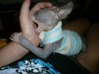 /album/fotecky/p7202140-jpg/