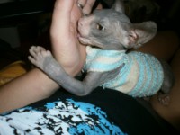 /album/fotecky/p7202141-jpg/