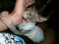 /album/fotecky/p7202146-jpg/