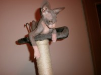 /album/fotecky/p7252221-jpg/