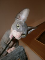 /album/fotecky/p8082336-jpg/