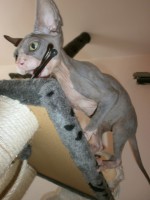 /album/fotecky/p8082339-jpg/