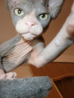 /album/fotecky/p8082340-jpg/