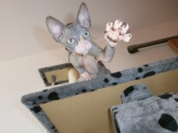 /album/fotecky/p8082342-jpg/