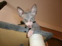 /album/fotecky/p8082344-jpg/