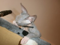 /album/fotecky/p8082345-jpg/