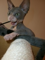 /album/fotecky/p8082347-jpg/