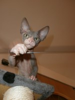 /album/fotecky/p8082350-jpg/