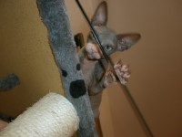 /album/fotecky/p8082353-jpg/