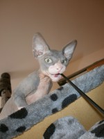 /album/fotecky/p8082391-jpg/