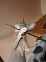 /album/fotecky/p8082392-jpg/