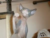 /album/fotecky/p8082393-jpg/