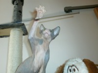 /album/fotecky/p8082395-jpg/